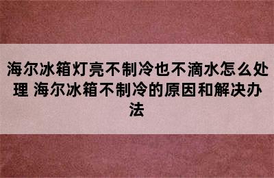 海尔冰箱灯亮不制冷也不滴水怎么处理 海尔冰箱不制冷的原因和解决办法